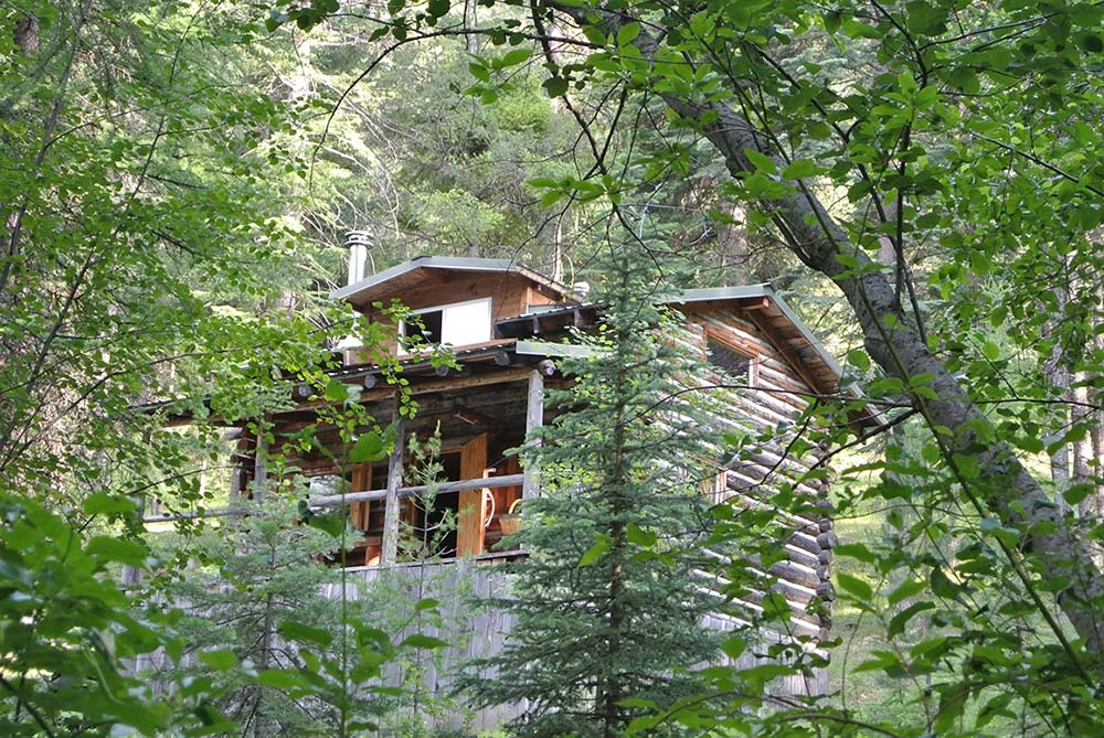 Image of the cabin across the creek.